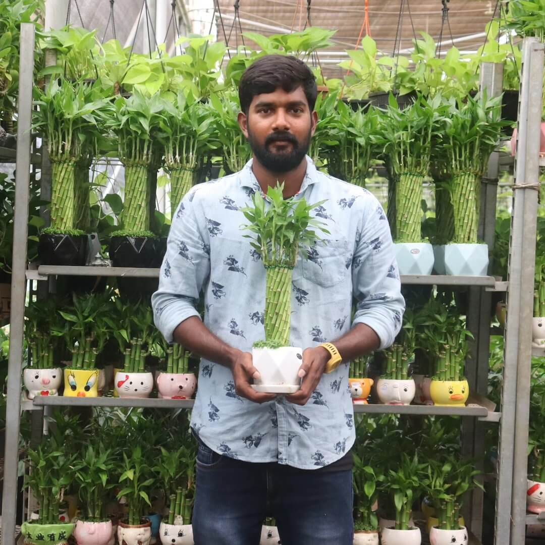 Ashok